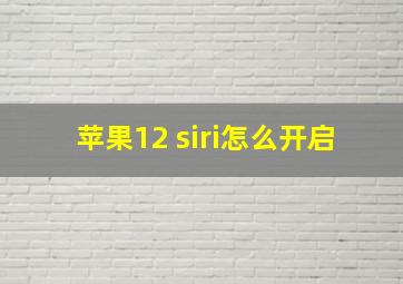 苹果12 siri怎么开启